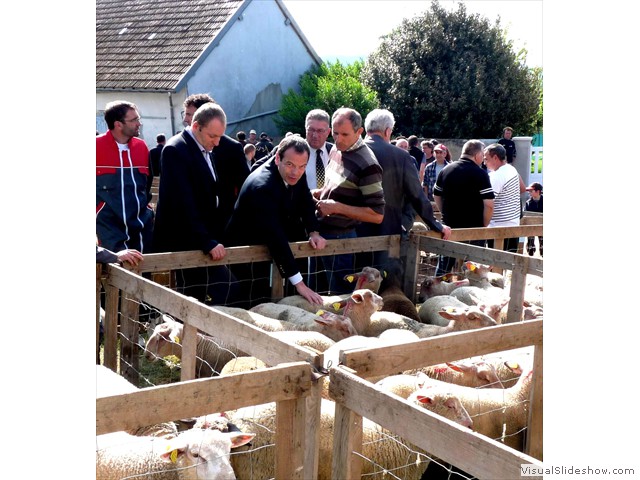 Foirail Molles  2