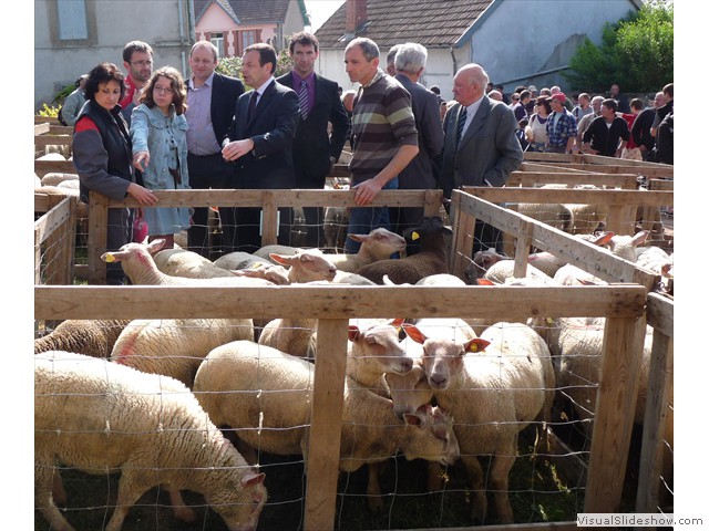 Photo 1.Foirail