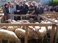 Photo 1.Foirail