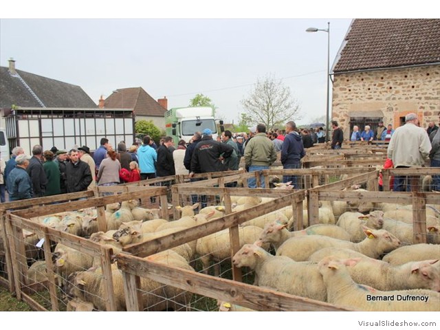 le foirail 