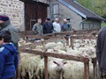le forail en cette fraîche matinée