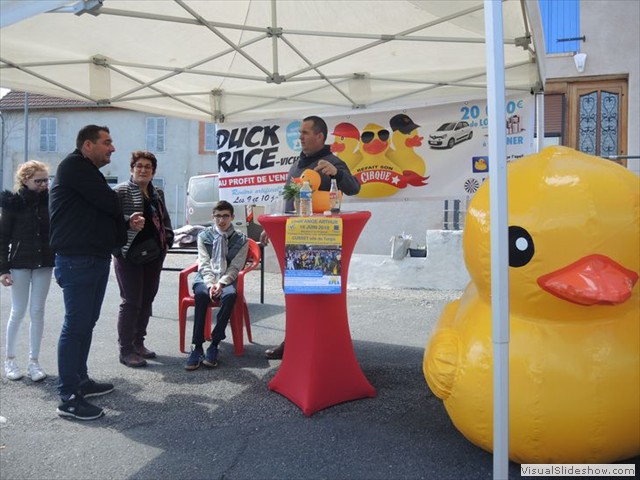 Des ovins, mais des canards aussi...