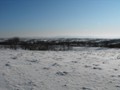 DSCF1492